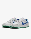 nikedunk photon4.webp