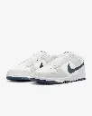 nikedunk tint4.webp